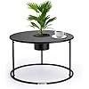 Table Basse Ronde avec Pot de Fleur, Petite Table Basse Salon Moderne et Design en Acier Inoxydable, Tables Basses Noir, Meubles de Salon, Pot Amovible, Table Basse Industrielle Metal Noire